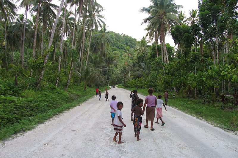 A group of villagers walk in the middle of the road to Radivaso in Malatya, surrounded by trees.