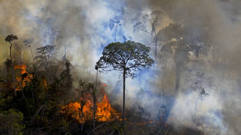 Glasgow’s first pledge: to end deforestation by 2030